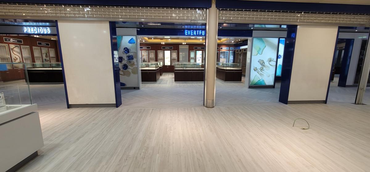 Nieuw Amsterdam cruise ship2