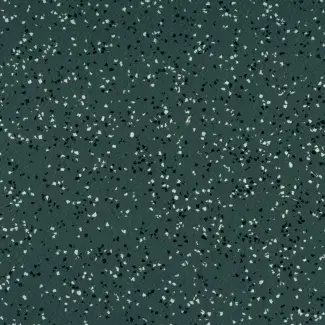 jupiter_shetland_8761