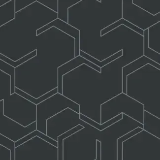 scan-tarabus-design-honeycomb