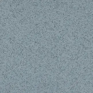 tarabus_sirius_griffon_6768