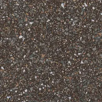 traveller_ap_everest_8065