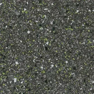 traveller_ap_fuji_4517